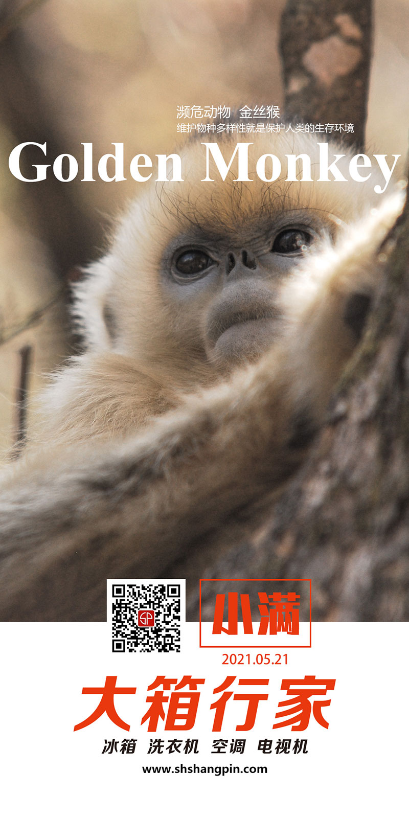 8С�M-��z��ֱ��2016.jpg